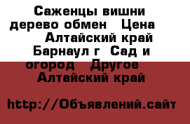 Саженцы вишни -дерево обмен › Цена ­ 200 - Алтайский край, Барнаул г. Сад и огород » Другое   . Алтайский край